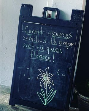 Image post by @enjeveser on Instagram