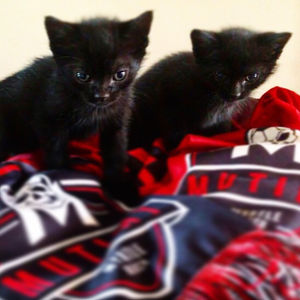Image post by @mbmutiny on Instagram
