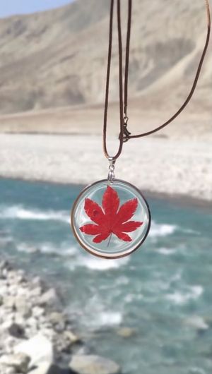 Video post by @leafyaffair on Instagram