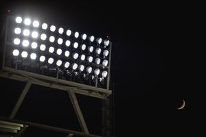 Image post by @PetcoPark on Twitter