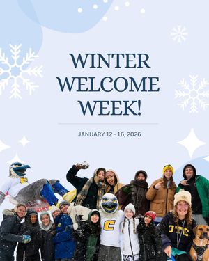 Image post by @utchattanooga on Instagram