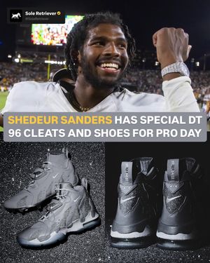 Image post by @soleretriever on Instagram