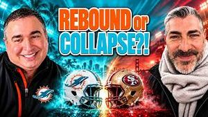 Video post by @dolphinstalk on YouTube