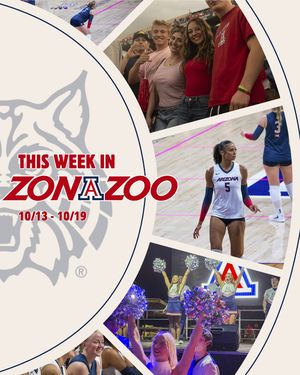 Image post by @zonazooofficial on Instagram