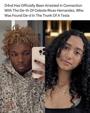Image post by @nojumper on Instagram