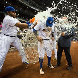 Image post by @brewers on Instagram