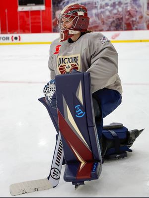 Image post by @goaliegearnerd on Instagram