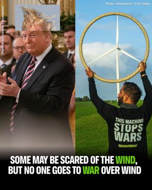 Image post by @greenpeace on Instagram