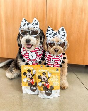 Image post by @disneypets on Instagram