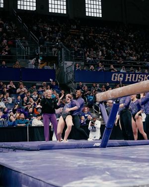 Image post by @uwgymnastics on Instagram