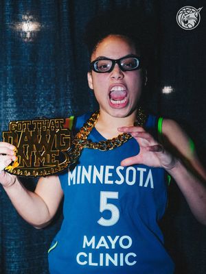 Image post by @minnesotalynx on Instagram