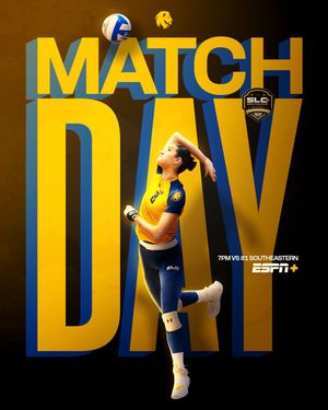 Image post by @Lion_Volleyball on Twitter
