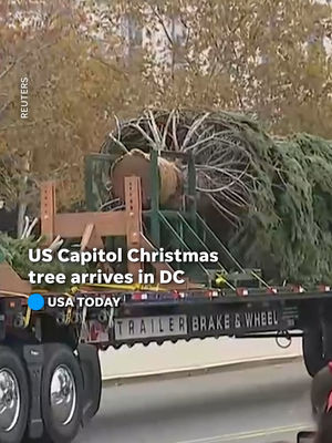 Video post by @usatoday on TikTok