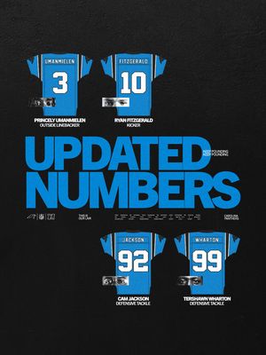 Image post by @panthers on Instagram