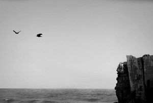 Image post by @eminmammadov on Instagram