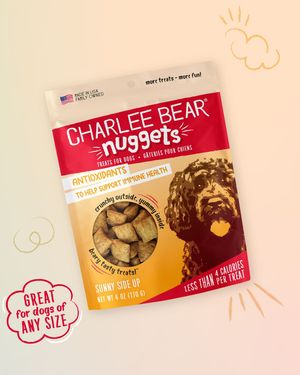 Image post by @charlee_bear_dogtreats on Instagram