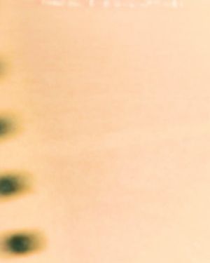 Image post by @jackburke.jpg on Instagram