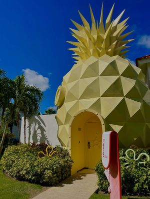 Image post by @nickresortpuntacana on Instagram