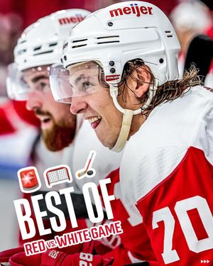 Image post by @detroitredwings on Instagram