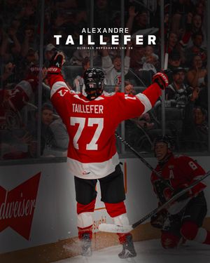 Image post by @quebec_remparts on Instagram