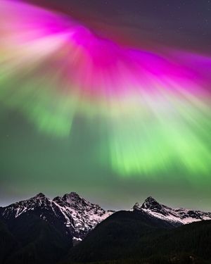 Image post by @wanatlparkfund on Instagram