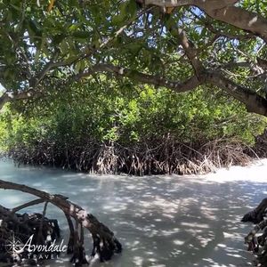 Video post by @AvondaleTravel on Facebook