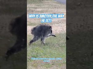 Video post by @Penn State University on YouTube