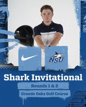 Image post by @nsu_mgolf on Instagram