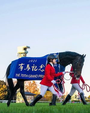 Image post by @worldhorseracing on Instagram