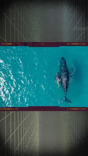 Video post by @bbcearth on Instagram