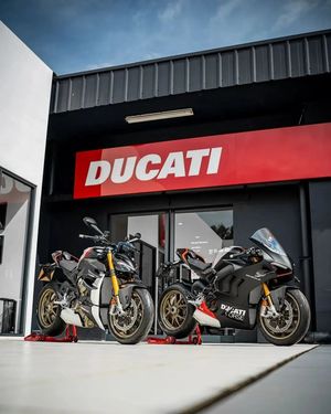 Image post by @panigalers on Instagram
