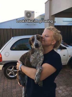 Video post by @jwaterhouse21 on TikTok