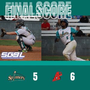 Image post by @mooresvillespinners on Instagram