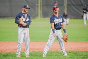 Image post by @OwlzNoCo on Twitter