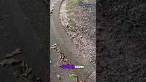 Video post by @developingsam1597 on YouTube