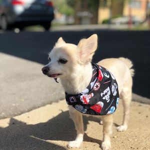 Image post by @thejoeydonut on Instagram