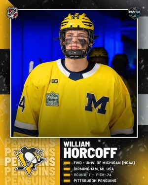 Image post by @puckreportnhl on Instagram