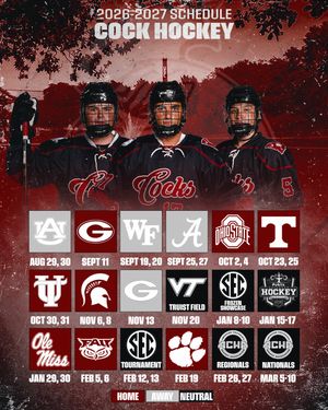 Image post by @cockhockey on Instagram