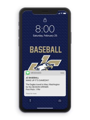 Image post by @JuniataBaseball on Twitter