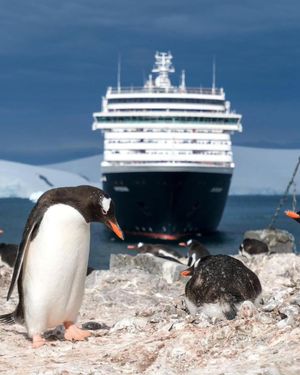 Image post by @hollandamericaline on Instagram