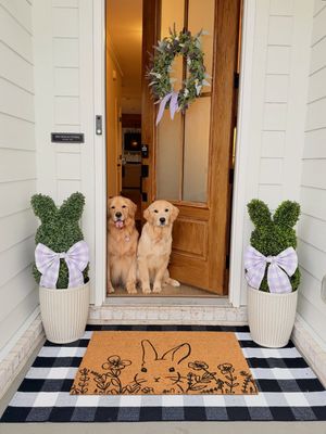Image post by @pearl.the.golden.girl on Instagram