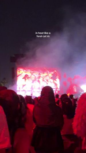 Video post by @skzzolno on TikTok