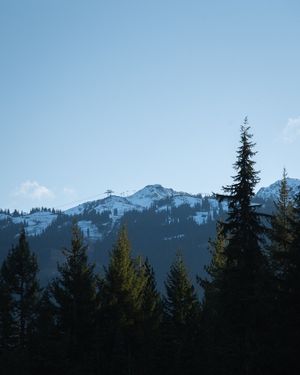 Image post by @whistlerblackcomb on Instagram