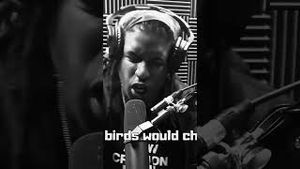 Video post by @coastcontra on YouTube