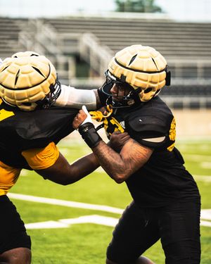 Image post by @uapblionsfb on Instagram