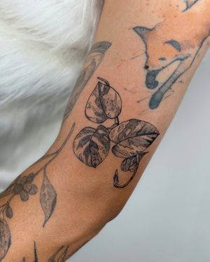 Image post by @tamarafalcomer on Instagram