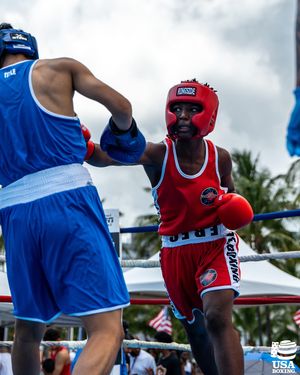 Image post by @usaboxing on Instagram