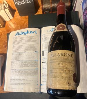 Video post by @bacarandinobistrot on TikTok