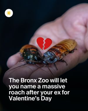 Video post by @secretnyc_ on TikTok