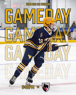 Image post by @wvuhockeyd4 on Instagram